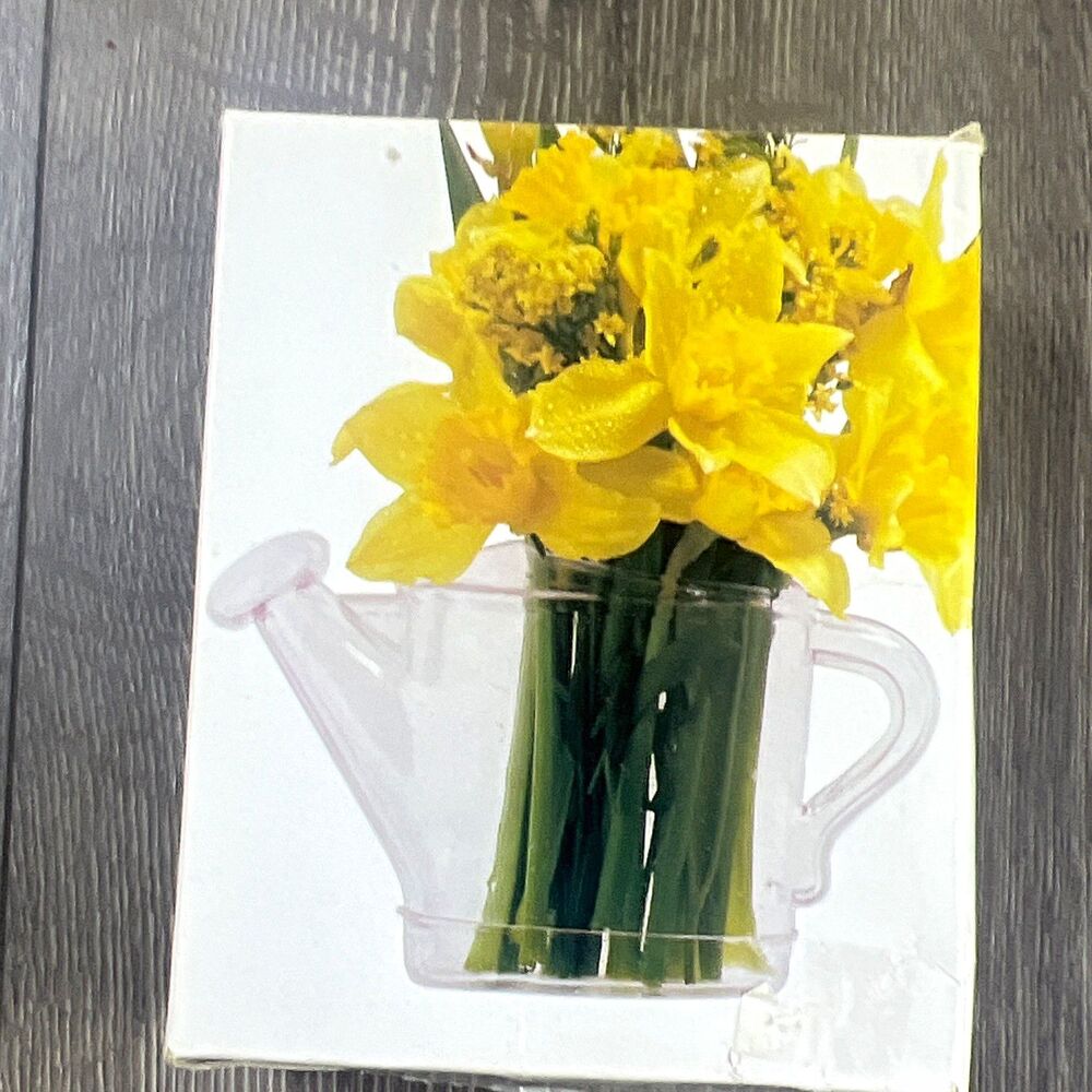 Two's Company Watering Can Wall Flower Clear Glass Hanging Vase w/ Suction Cup